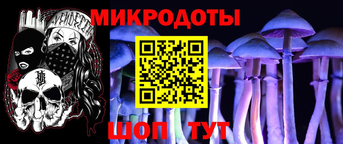 Псилоцибиновые грибы Psilocybine cubensis  Вход с VPN  Карасук  Псилоцибиновые грибы мухоморы 