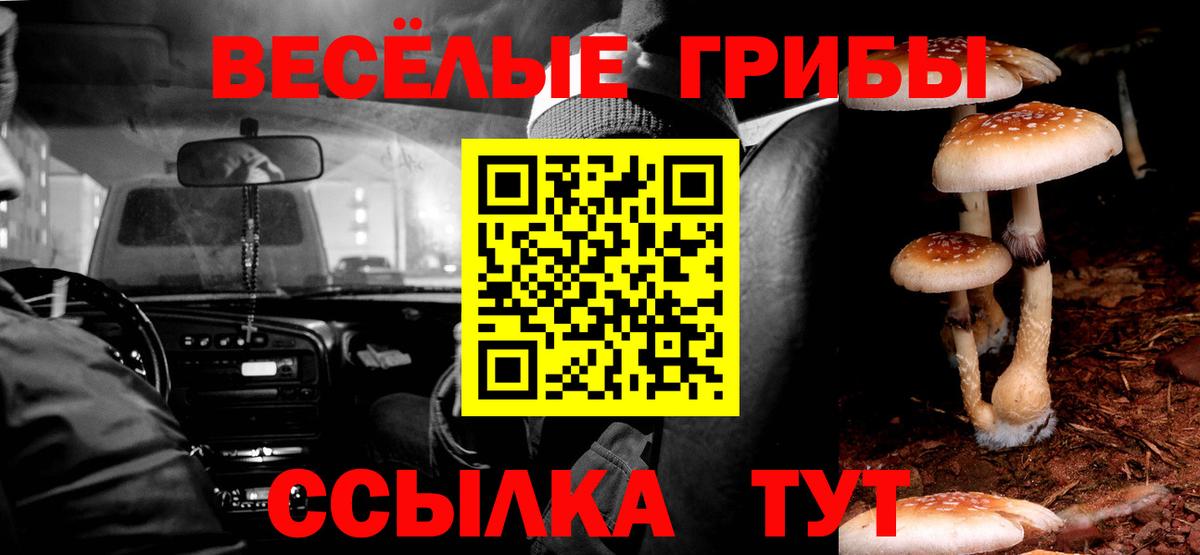 Галлюциногенные грибы мицелий Карасук
